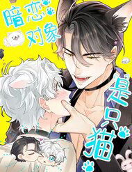 Crush Của Tôi Là Mèo